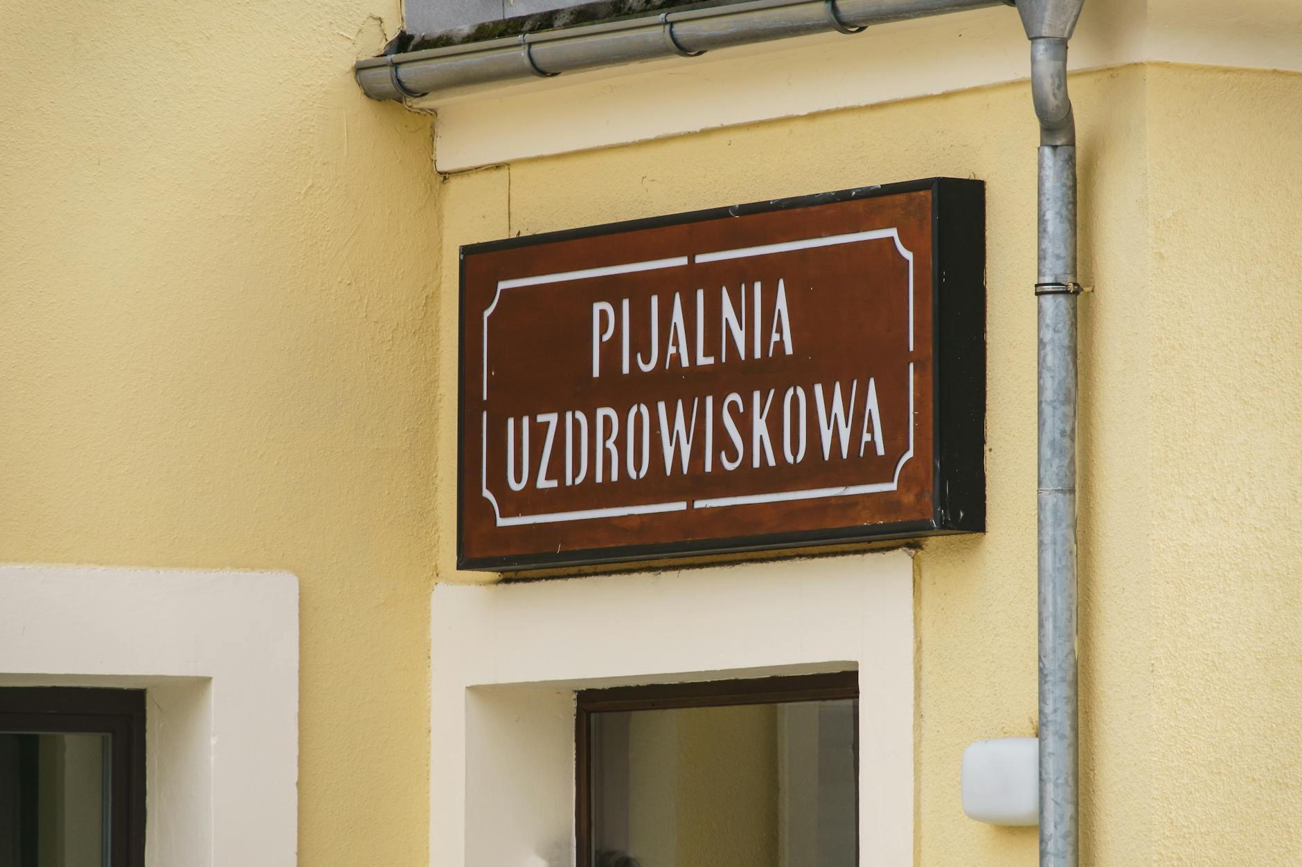 Tygodniowy przegląd wydarzeń i obserwacja niedźwiedzia na górze Korab w Limanowej